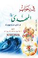 قراءة في كتاب في رحاب المهدي عليه السلام، قراءة في المعرفة المهدوية......