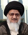 السيد علي نور الدين الميلاني