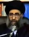 السيد علي الحسيني الصدر