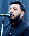 محمد الوائلي
