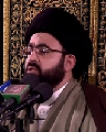 السيد محمد رضا شرف الدين العاملي