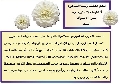صفحة الطفل المنتظر / اللهم احفظ أرضنا الطاهرة