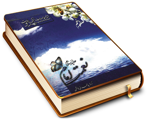 سلسله درسهای مهدویت (حلقه پنجم) - نعمت امام