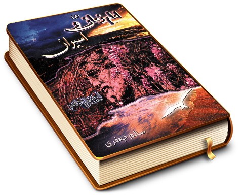 امام زمان (عجّل الله فرجه) و اسیران