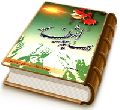 در سایه سار انتظار