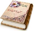 میهمان آفتاب (تشرف ابو الحسن ضراب)