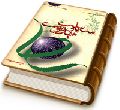 سیاست و مهدویت
