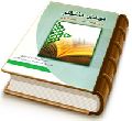 مهدی منتظر (علیه السلام) در اندیشه اسلامی