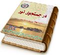 در جستجوی نور (مجموعه مقالات پیرامون امام مهدی (علیه السلام))