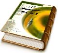 شرحی بر دعای ندبه
