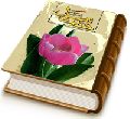 وصال حدیث - ناگفته های از امام زمان (علیه السلام)