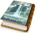 نشان صبح سپید - گفتارهایی از امیر مؤمنان پیرامون امام زمان (علیهما السلام)