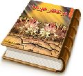 در انتظار خورشید (مجموعه شعر)