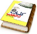 کتاب رجعت - چهارده حدیث از ولادت امام زمان تا رجعت ائمه (علیهم السلام)