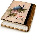 آخرین پناه