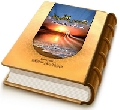 عصر الغيبة - الوظائف والواجبات