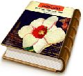 آفتاب انتظار (مجموعه شعر)