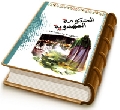 الحكومة المهدوية