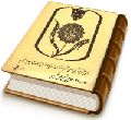 بخشی از پیشگوئیهای آخر الزمان از دیدگاه اهل بیت (علیهم السلام)