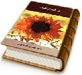 در انتظار آفتاب (بحثی پیرامون اصالت مهدویت)