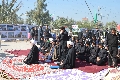 (١١٢) آية الله الأستاذ الشيخ حسن الجواهري يؤم المصلين في الموقع المركزي للمشروع التبليغي للحوزة العلمية في زيارة الأربعين