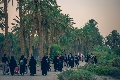(١١١٧)