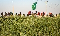 (١١٦٥)