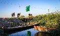 (١١٦٦)