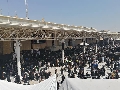 (١١٨٤)