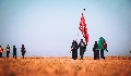 (١٢١٦)