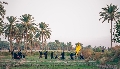 (١٢٣٨)