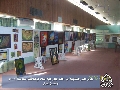 معرض الفنون التشكيلية / جانب من المعرض