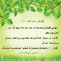 الأحاديث المهدوية- ١٥٥