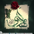 (٤٢٧) الإمام المهدي