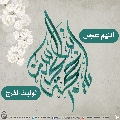 (٤٤٦) يا حجة بن الحسن