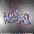 (٥٠٦) يا حجة الله