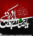 (٥١٦) يا صاحب الزمان أدركني