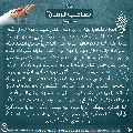 زيارة صاحب الزمان يوم الجمعة- ٧٧