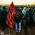 (٢٣٦)