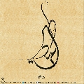 (٥٨٣) المهدي