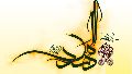 السلام على المهدى