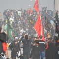(٢٦١)