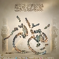 (٥٩٤) بقية الله