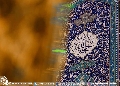 (٦١٤) السلام على حجة الله