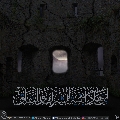 (٦٣٧) أين هادم أبنية الشرك والنفاق