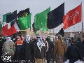 (٣١٠)