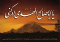 (١٦) يا ابا صالح المهدي ادركني