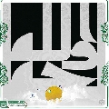 (٧٣٦) وجه الله