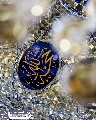 (٧٣٧) حجة الله