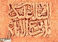 (٧٧٠) السلام عليك يا ربيع الأنام